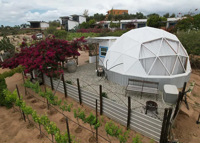 Santerra, Valle De Guadalupe