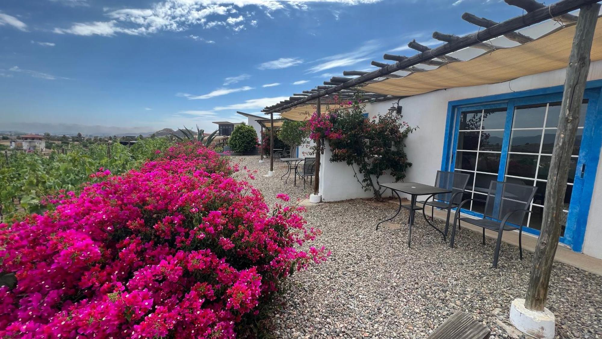 Hotel Santerra, Valle de Guadalupe