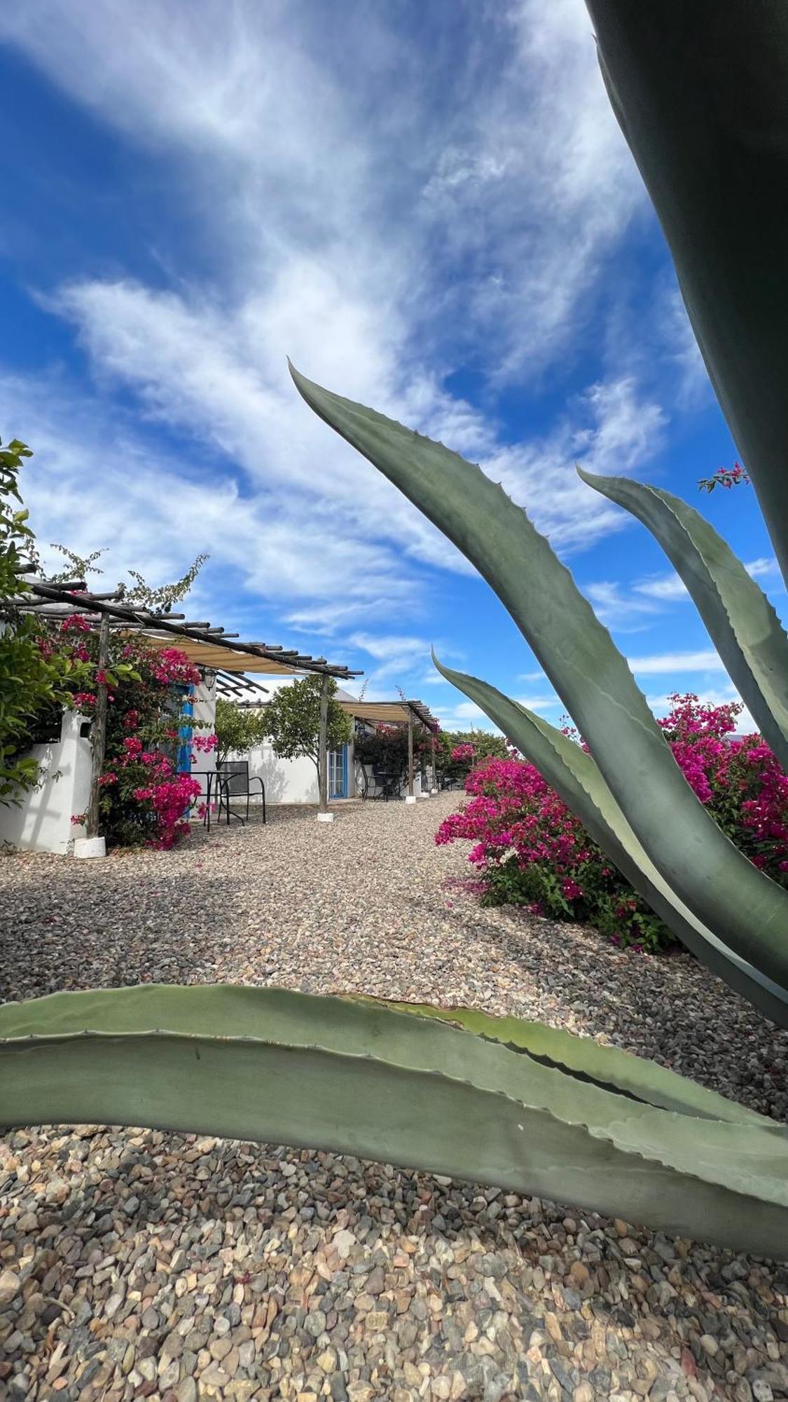 Santerra, Valle de Guadalupe